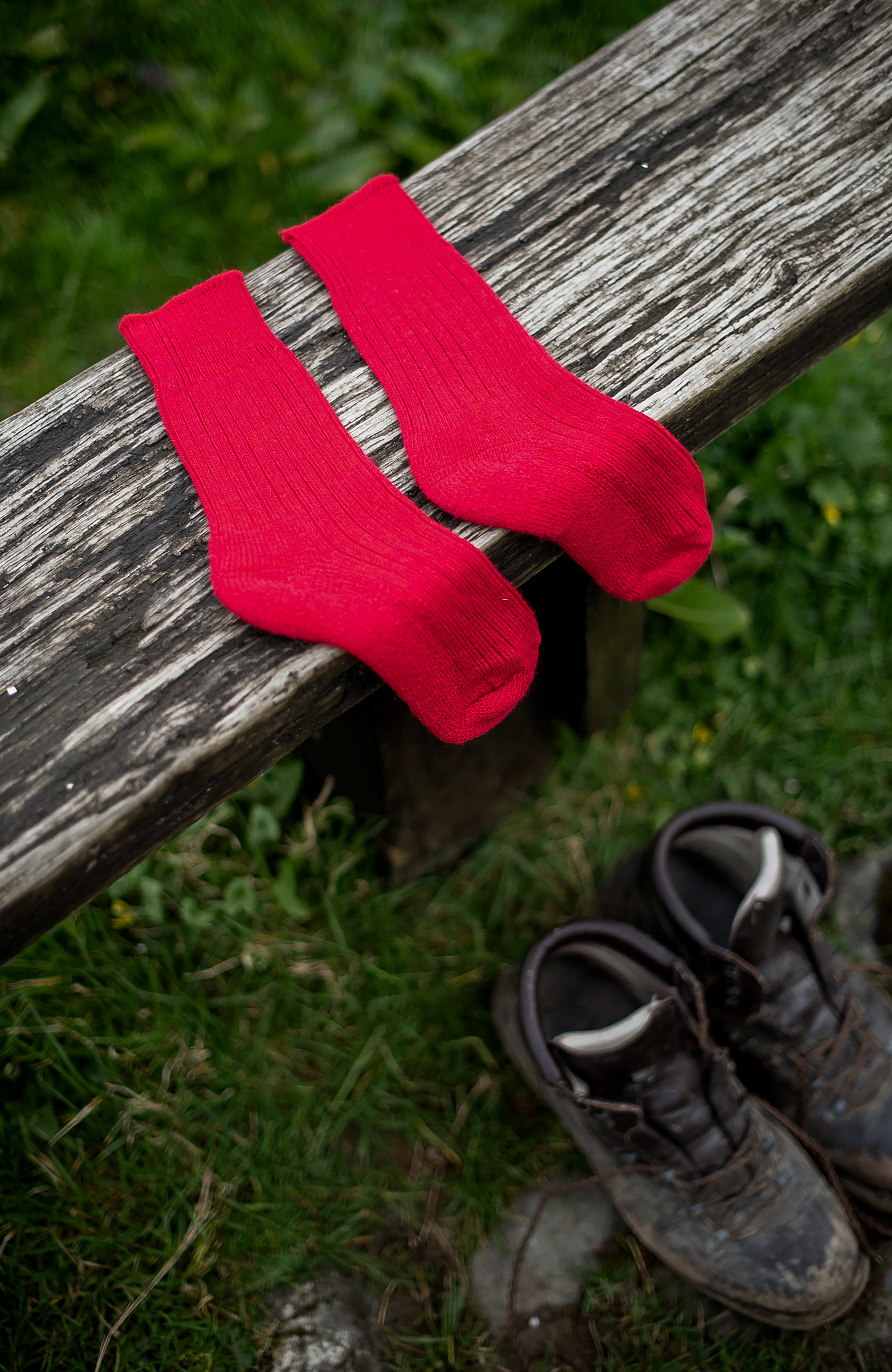 Alpaca Cushion Sole Walking Socks
