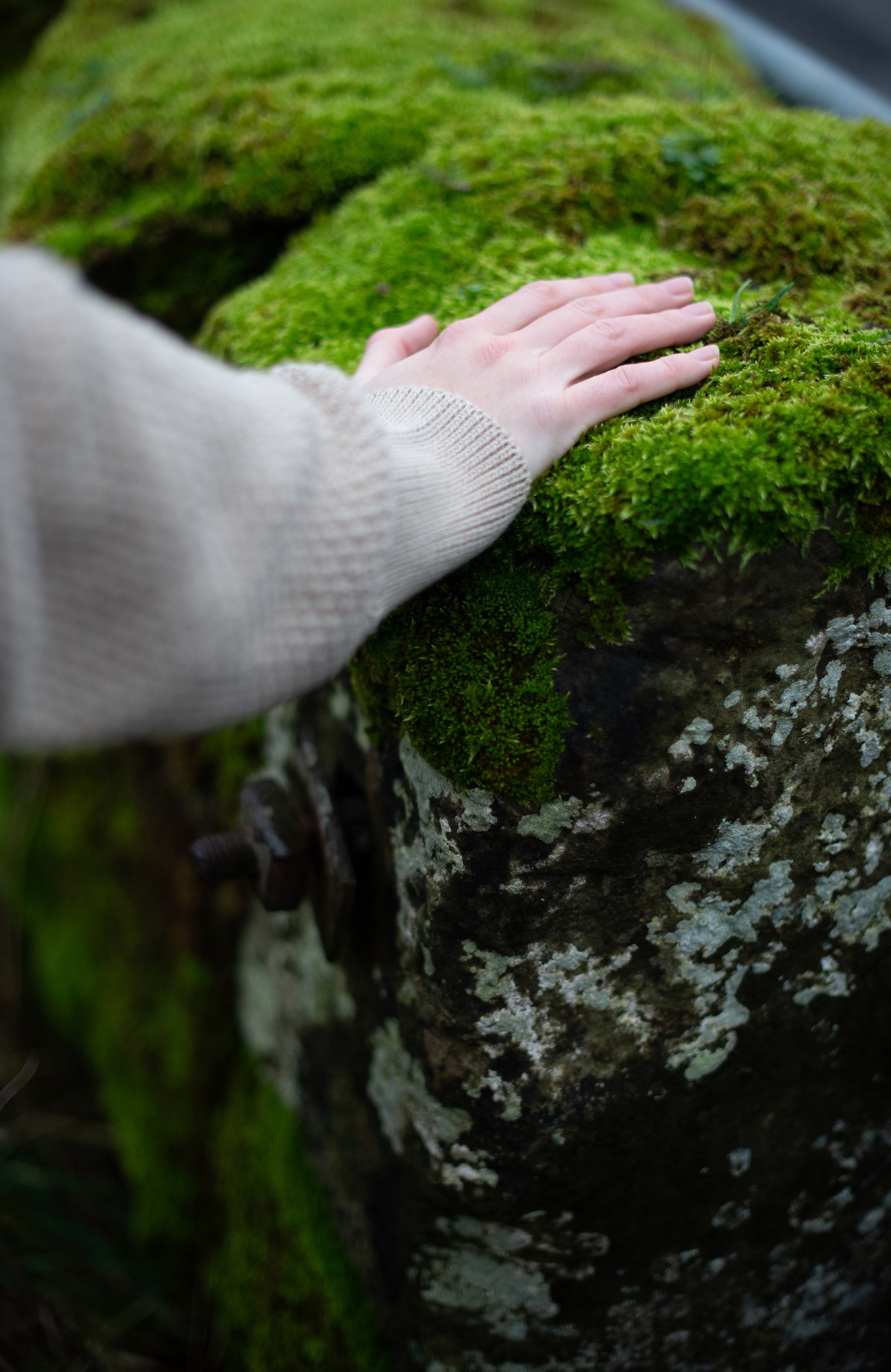 Womens Midweight Cotton Moss Stitch Jumper