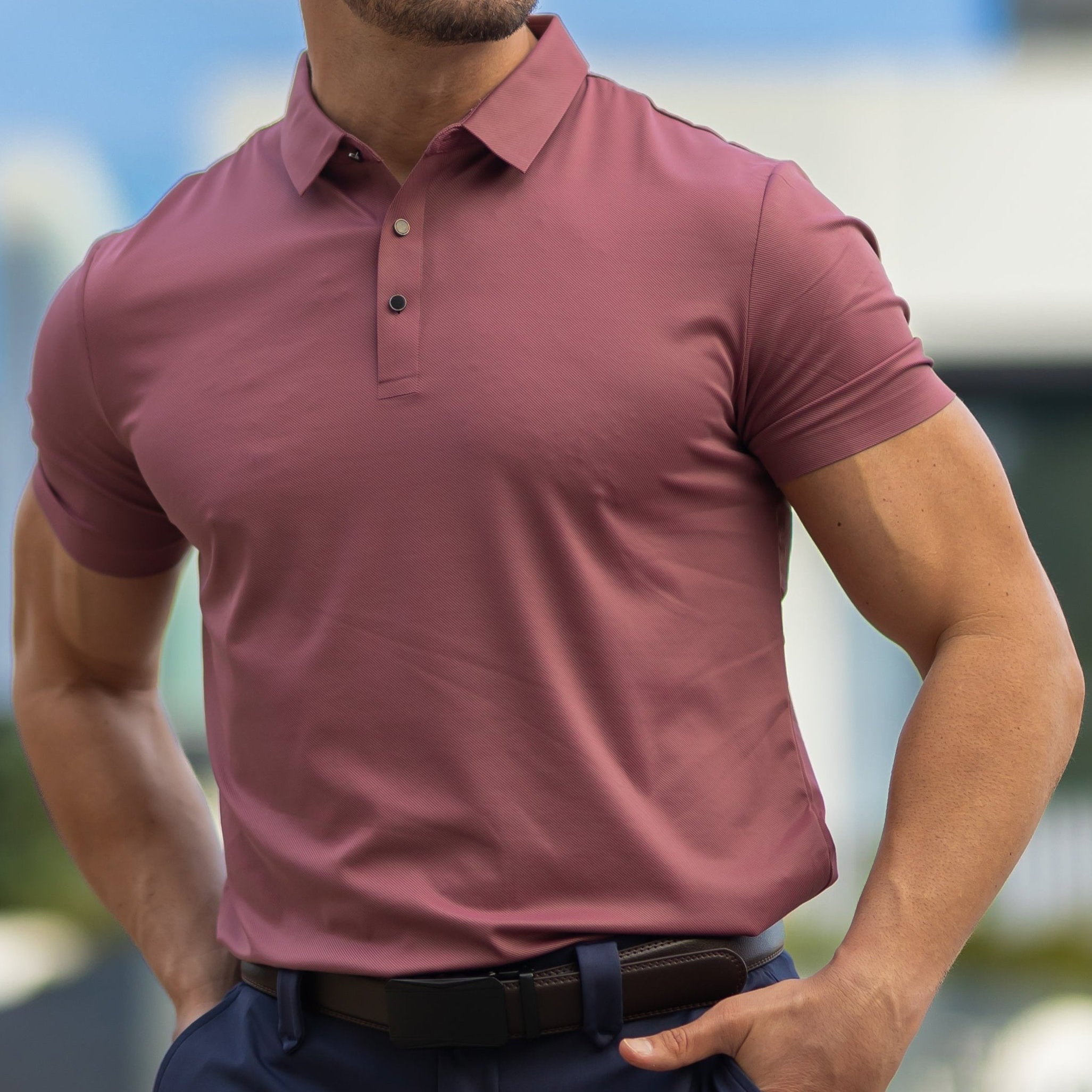 Cavaliere Minimale Men's Polo Shirt – Wrinkle-Free Muscle Fit