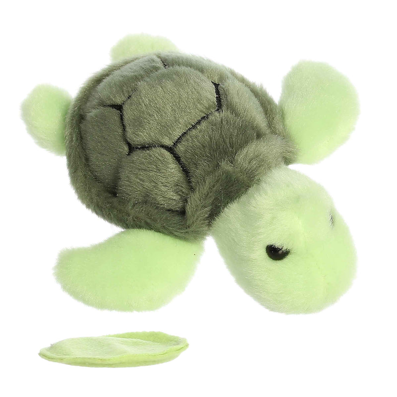 '- Shoulderkins - 5.5" Saavy Sea Turtle
