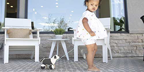 The Pull Pup by Lovevery - Wooden Push Pull Toy, Black/White/Natural Wood