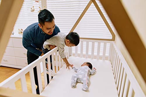 Storkcraft Orchard 5-in-1 Convertible Crib