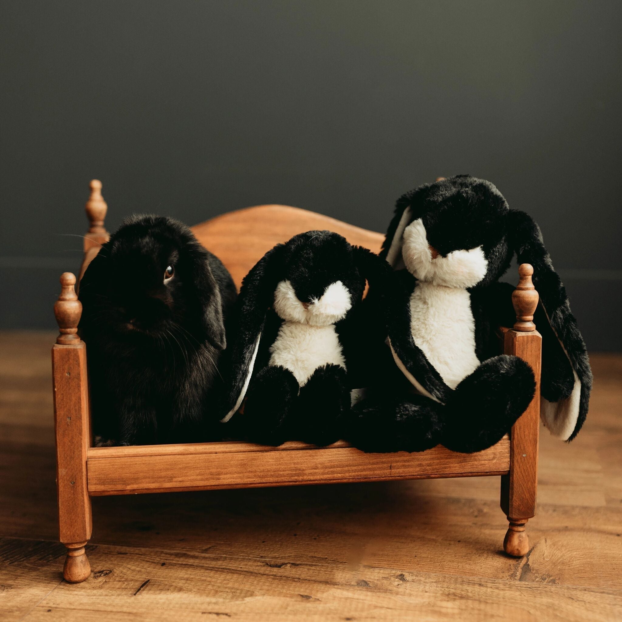 Little 12" Floppy Nibble Bunny – Black