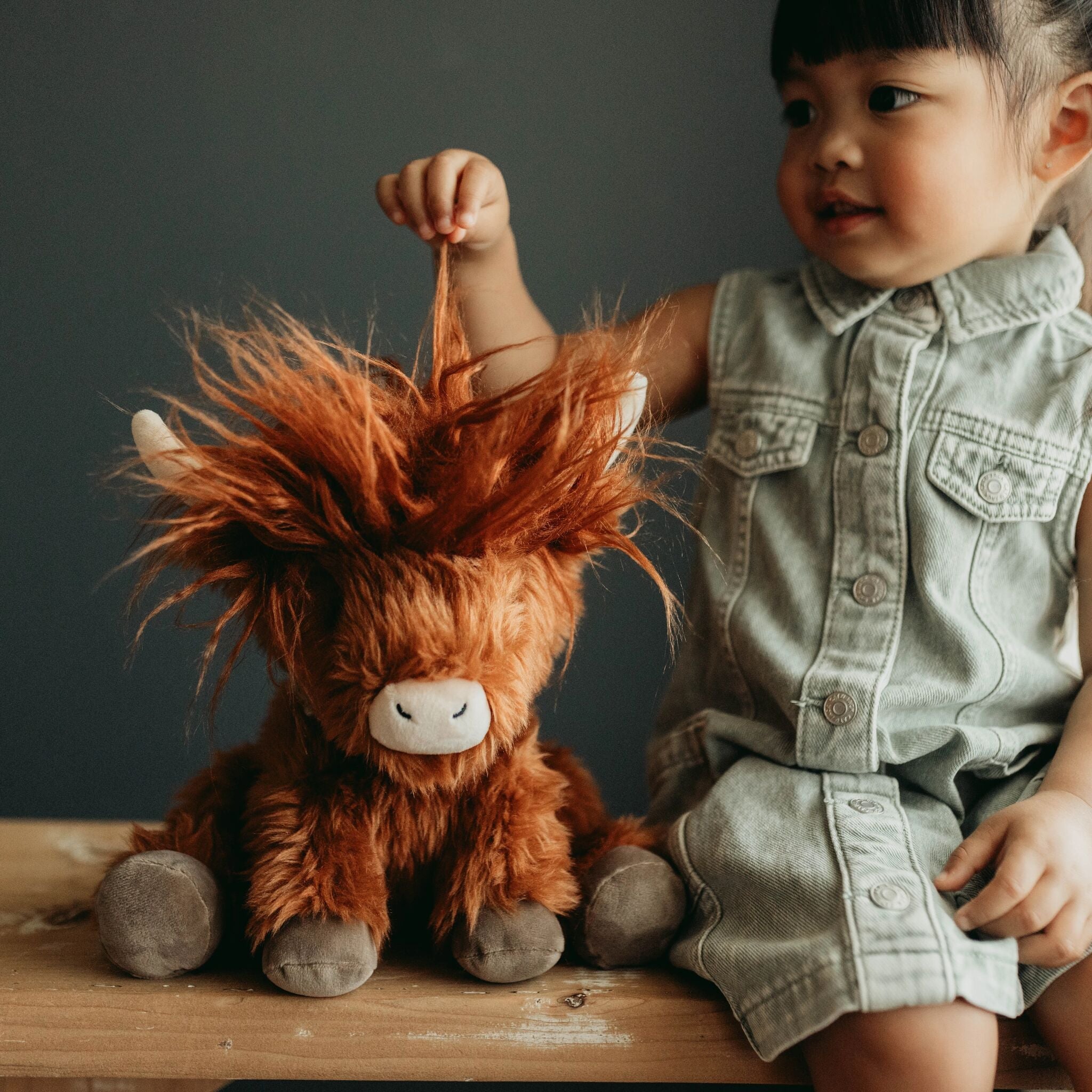 Hamish the Highland Cow 10 Inches