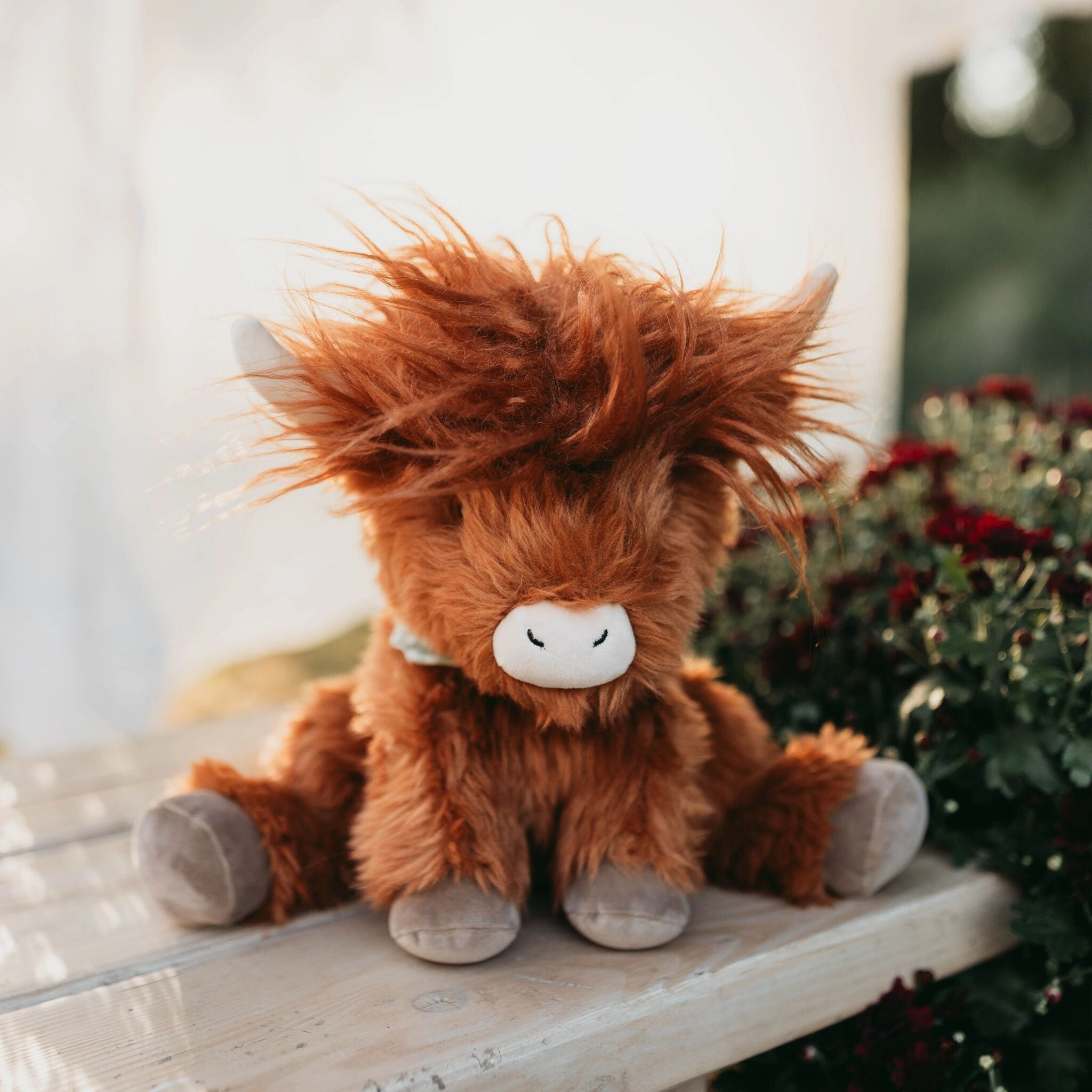 Hamish the Highland Cow 10 Inches