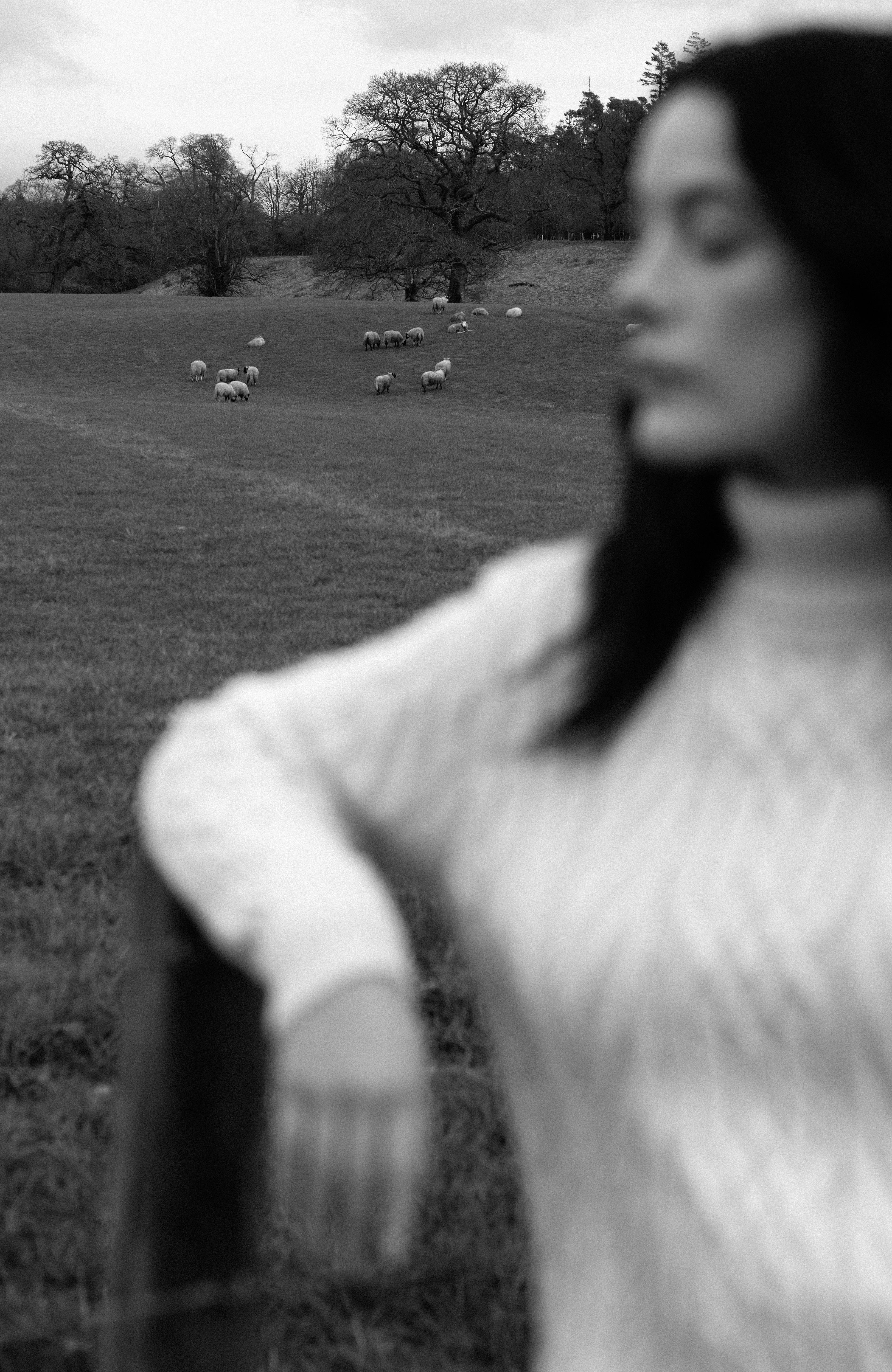 Womens Chunky Merino Wool Roll Neck Cable Jumper