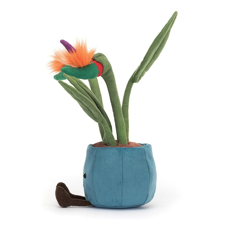 Amuseable Bird of Paradise 38cm