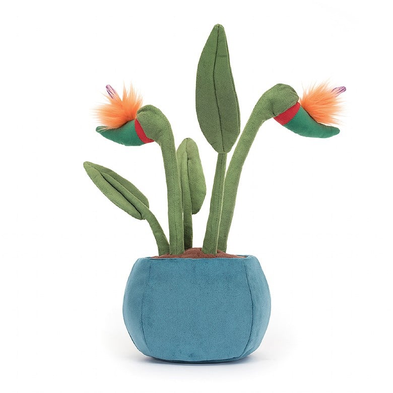 Amuseable Bird of Paradise 38cm