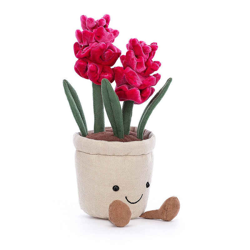 Amuseable Hyacinth 25cm
