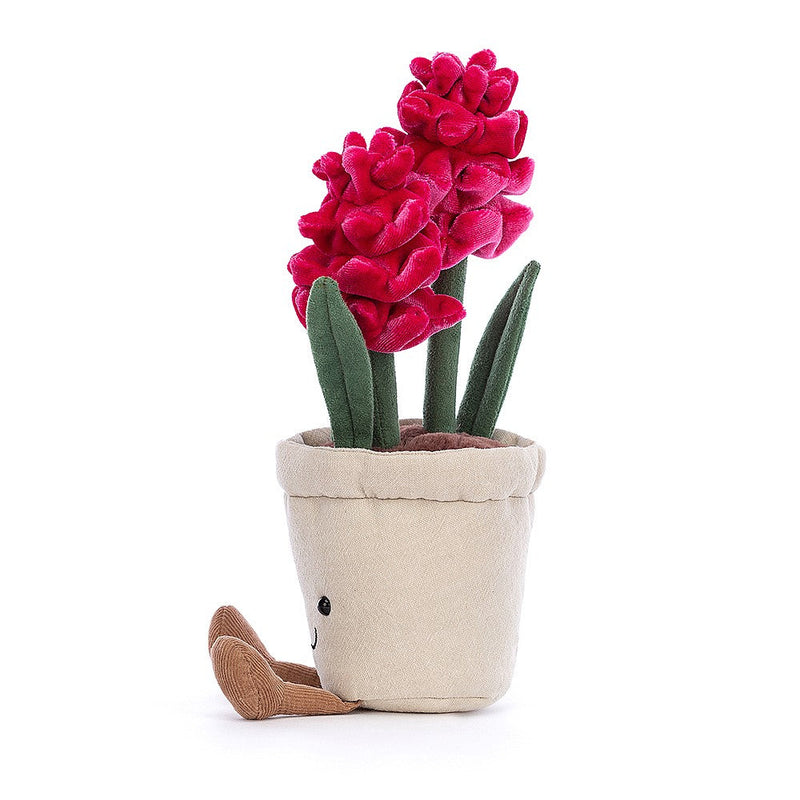 Amuseable Hyacinth 25cm