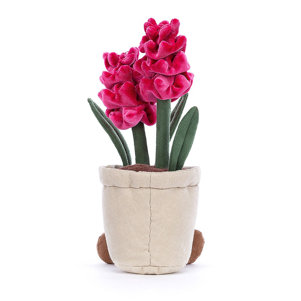 Amuseable Hyacinth 25cm