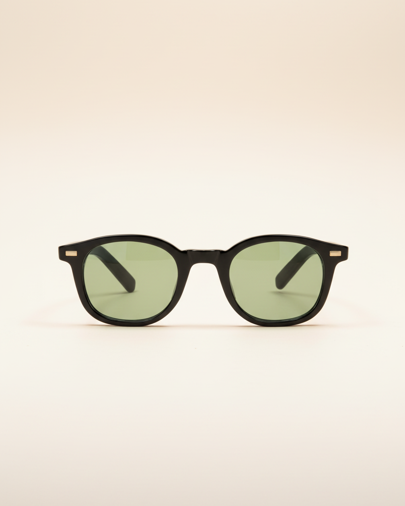 Sunglasses Classic Frame Signature