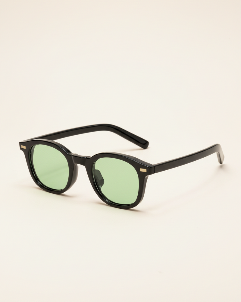 Sunglasses Classic Frame Signature