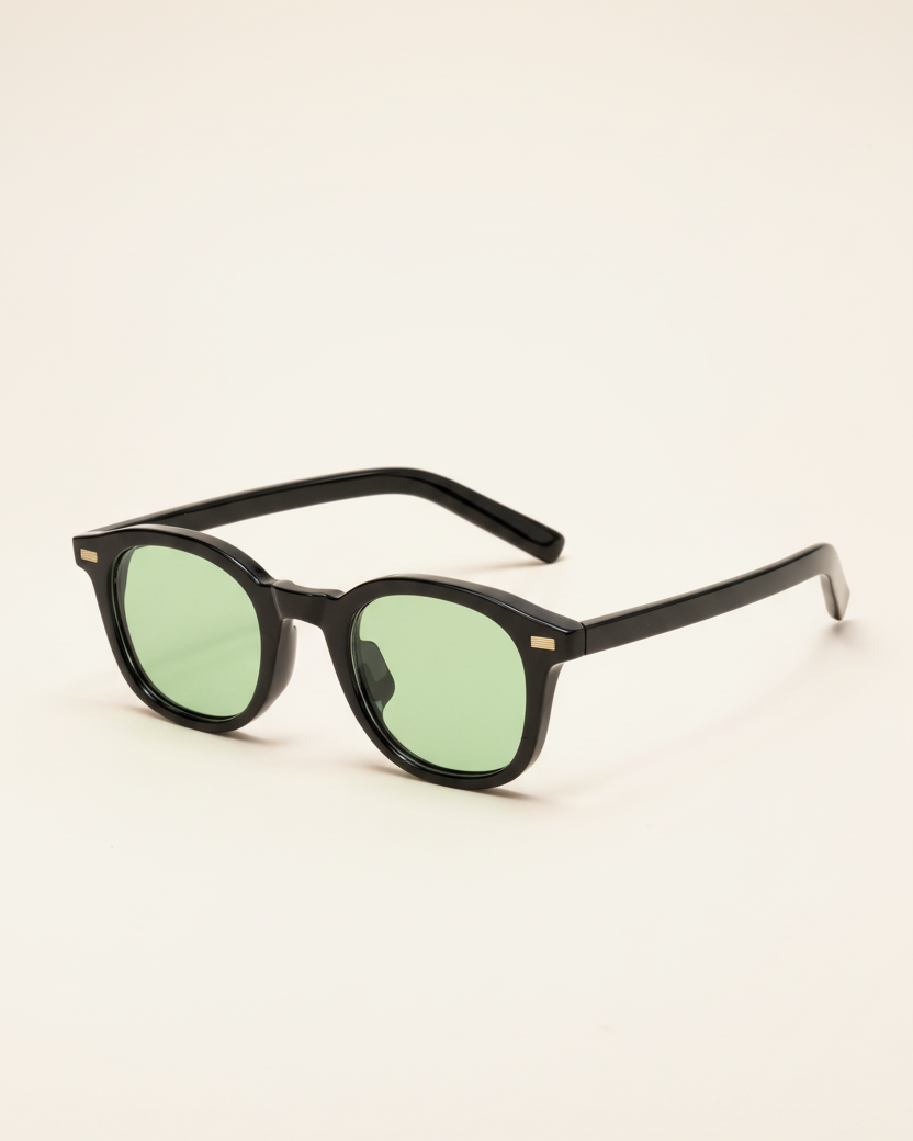 Sunglasses Classic Frame Signature