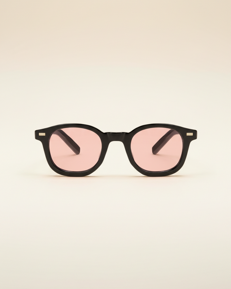 Sunglasses Classic Frame Signature
