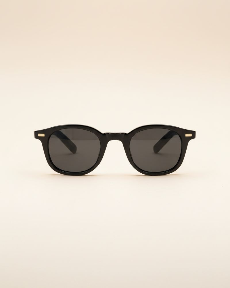 Sunglasses Classic Frame Signature