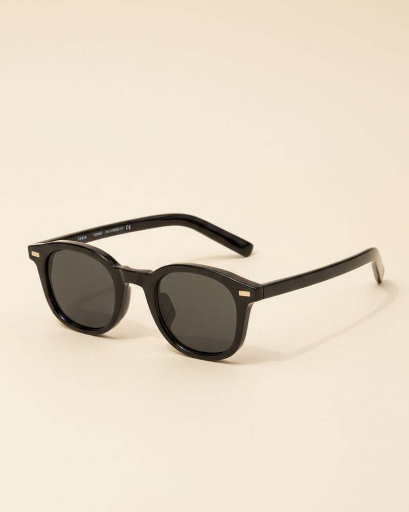 Sunglasses Classic Frame Signature