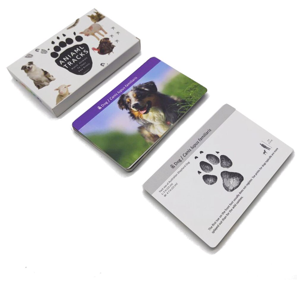 Animal Identification Activity