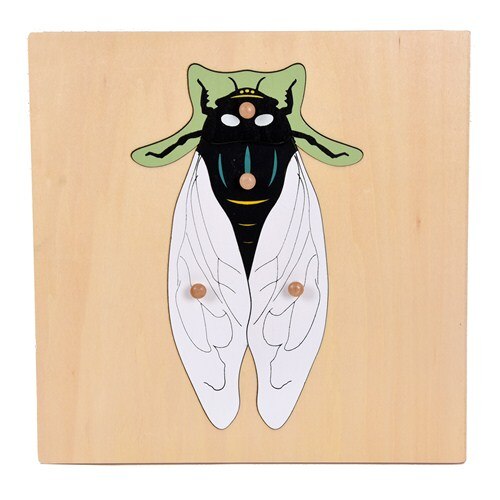 Montessori Nature Pull Puzzles