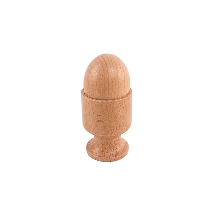 Montessori Object Fitting Set