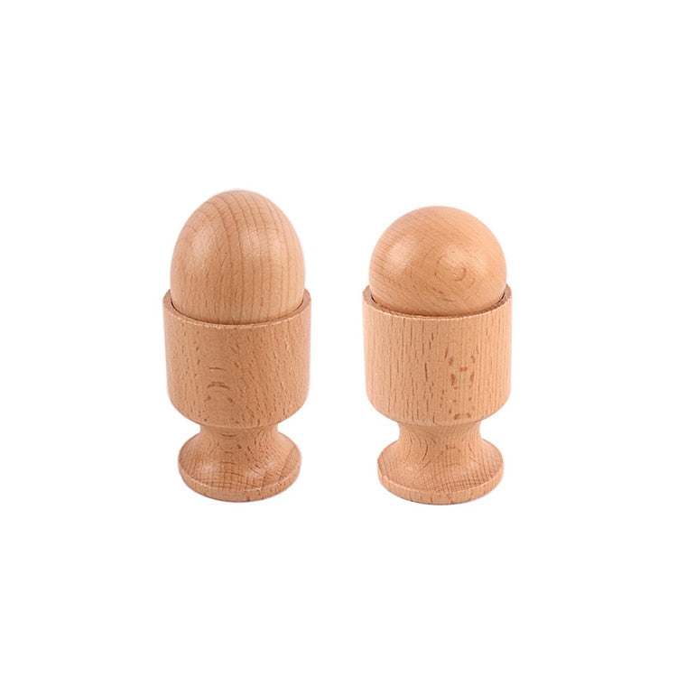 Montessori Object Fitting Set