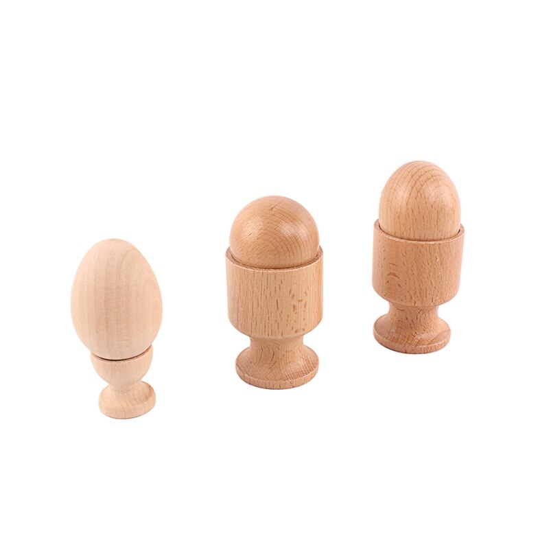 Montessori Object Fitting Set