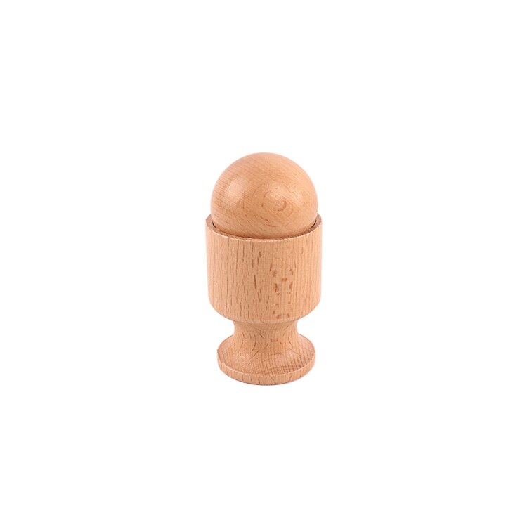 Montessori Object Fitting Set