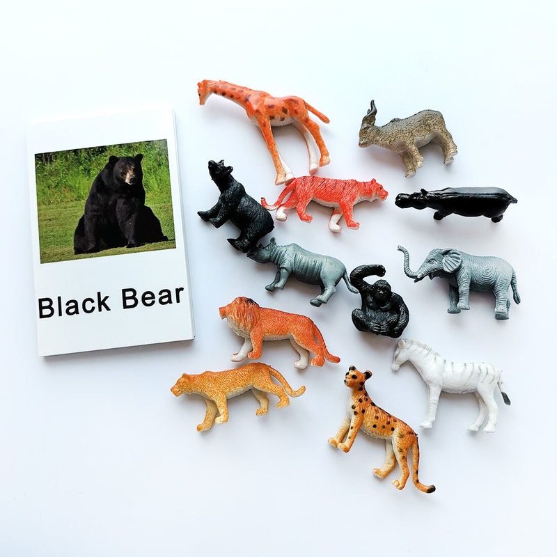 Animal Identification Activity