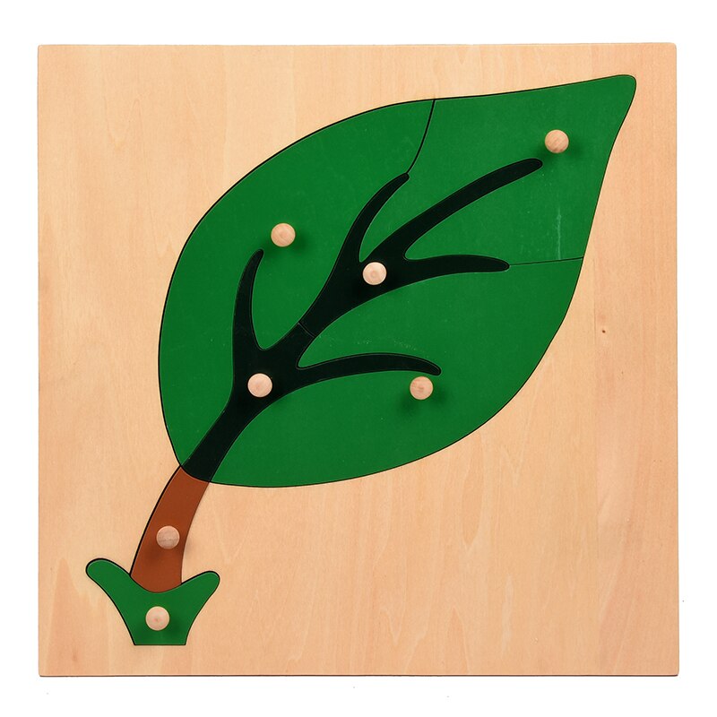 Montessori Nature Pull Puzzles