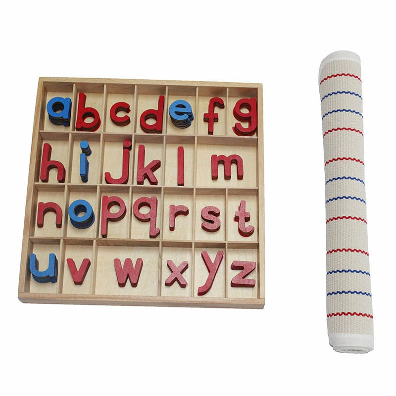 Montessori Movable Alphabet - Language Materials