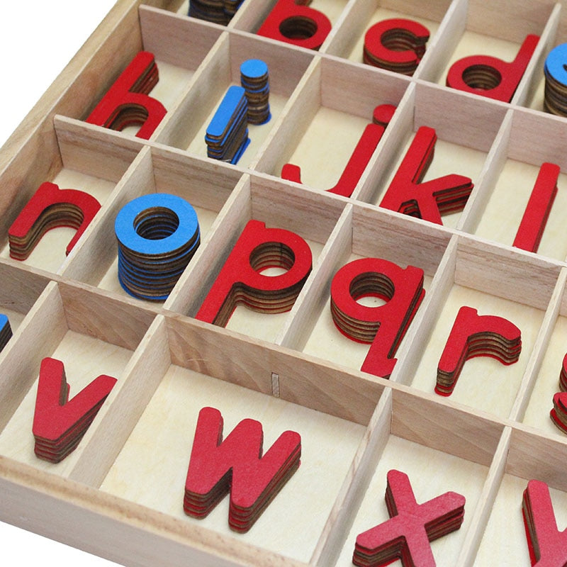 Montessori Movable Alphabet - Language Materials