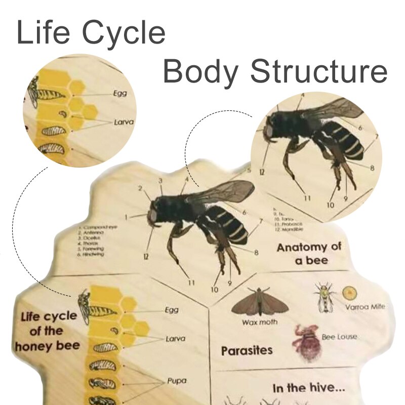 Wooden Bee Puzzle