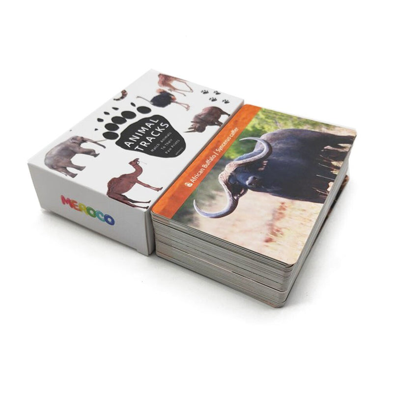 Montessori Memory Game: Flash Cards Animal Footprints