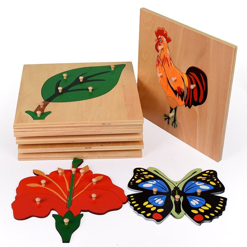 Montessori Nature Pull Puzzles