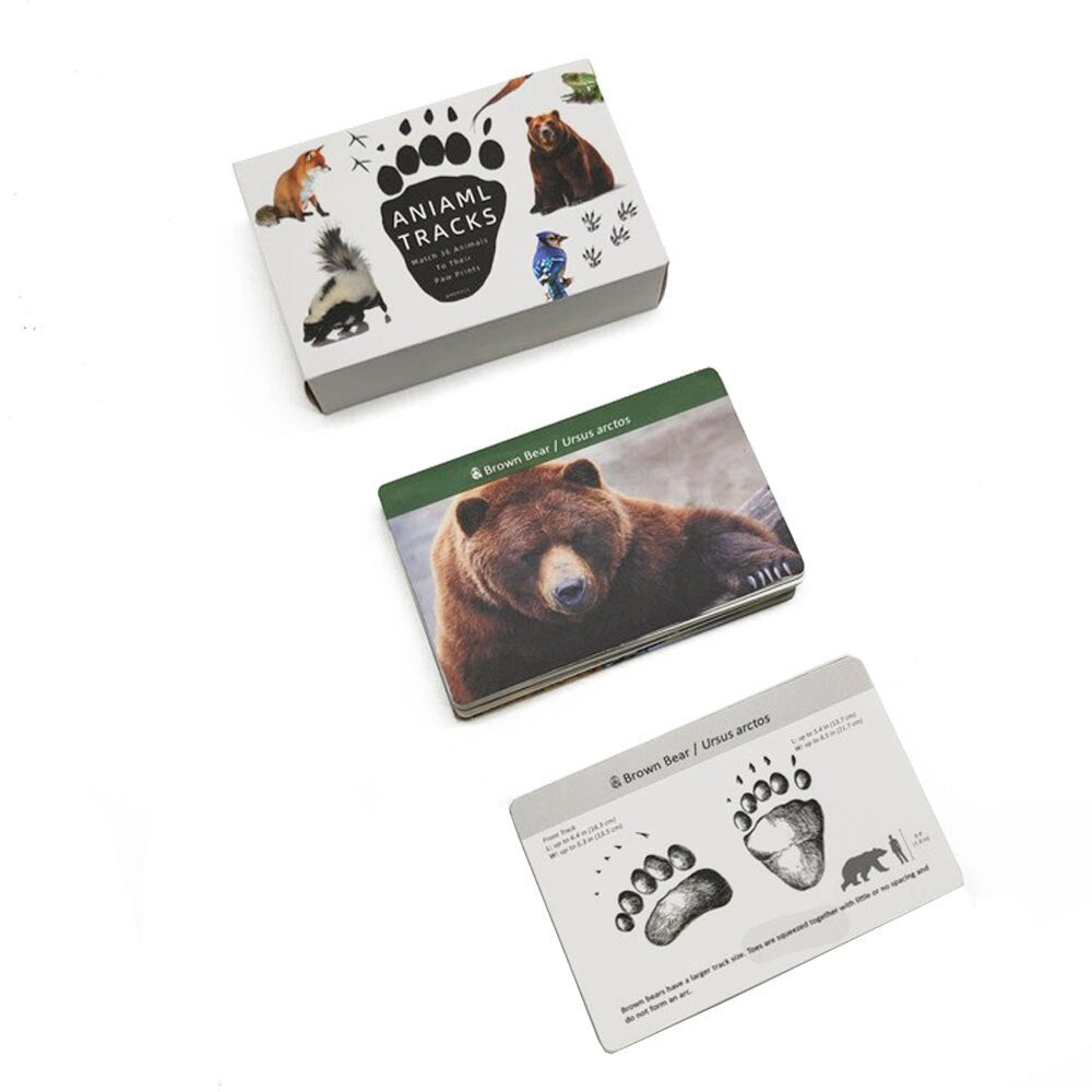 Animal Identification Activity