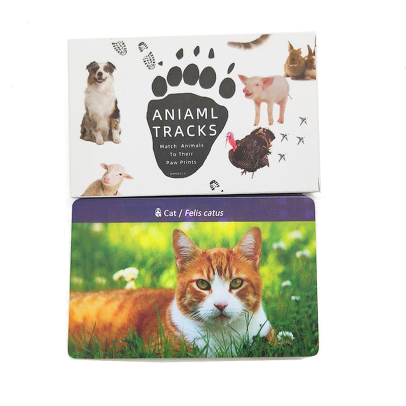 Montessori Memory Game: Flash Cards Animal Footprints