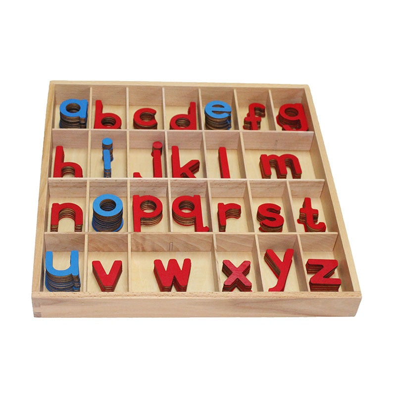 Montessori Movable Alphabet - Language Materials