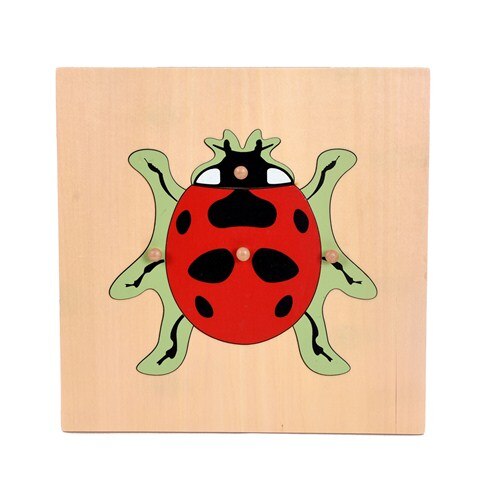 Montessori Nature Pull Puzzles