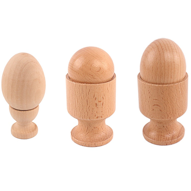 Montessori Object Fitting Set