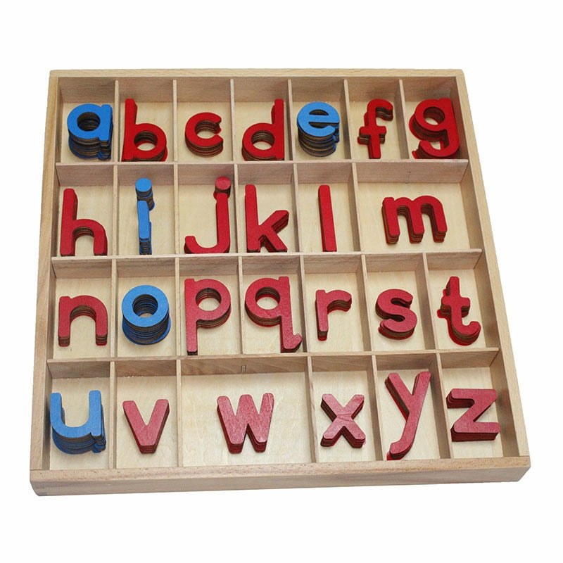 Montessori Movable Alphabet - Language Materials