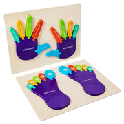 Montessori 3D Wooden Palms and Soles Puzzle