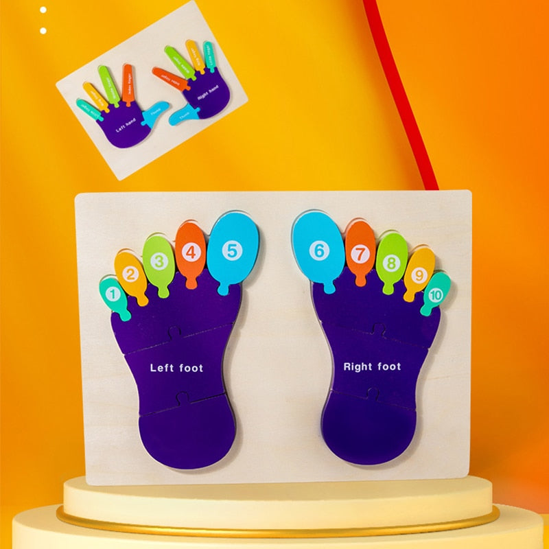 Montessori 3D Wooden Palms and Soles Puzzle