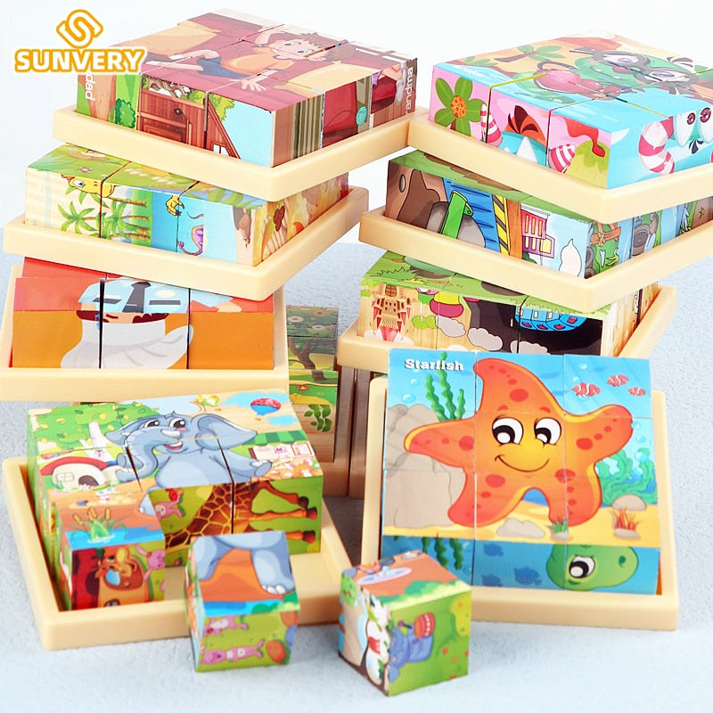 Montessori 9 Pieces Six-sided 3D Cubes Jigsaw Puzzles (3-6 Years Old)