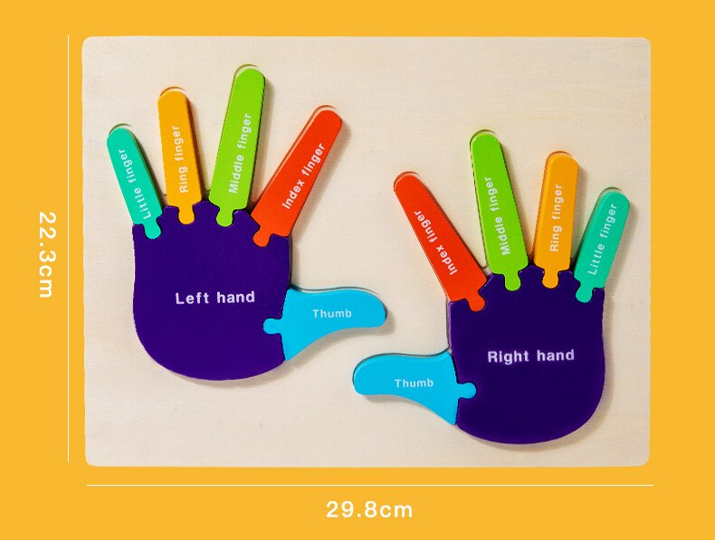Montessori 3D Wooden Palms and Soles Puzzle