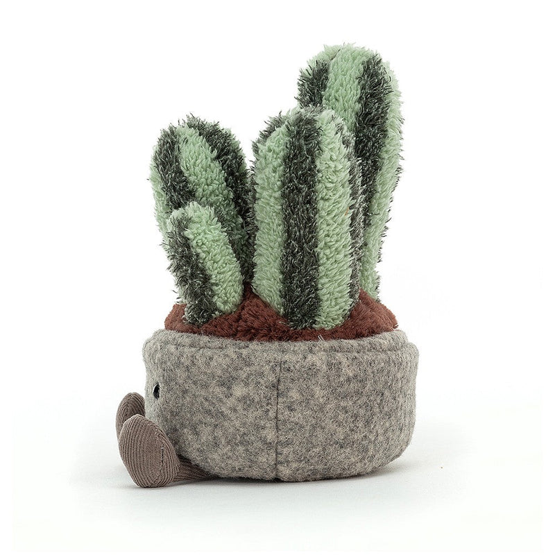 Silly Columnar Cactus 15cm