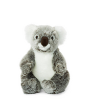 WWF Koala - 22 cm - 8.5"