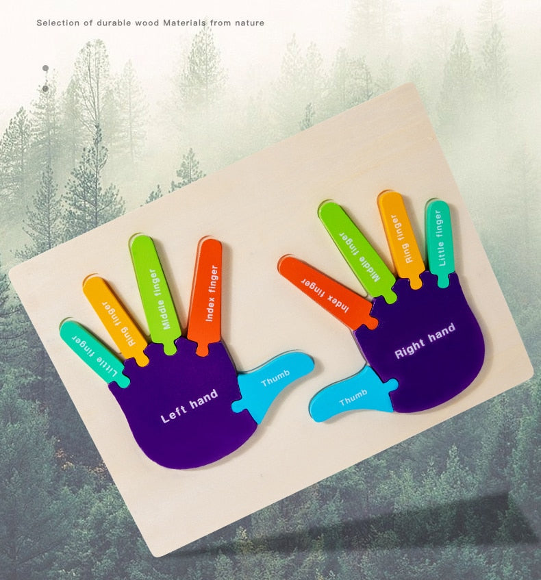 Montessori 3D Wooden Palms and Soles Puzzle