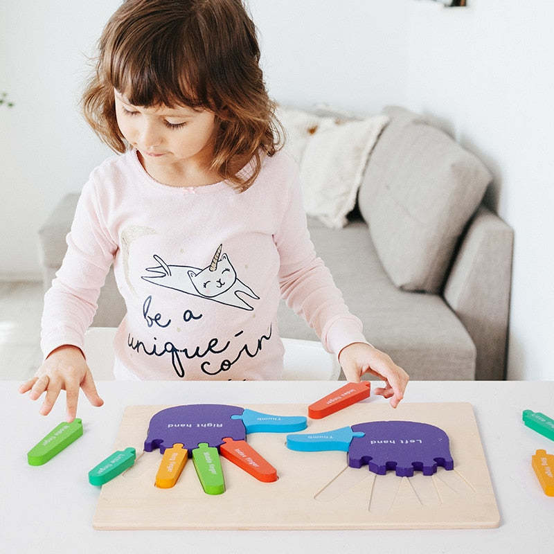 Montessori 3D Wooden Palms and Soles Puzzle