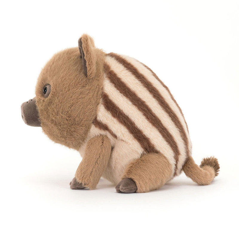 Swinley Boar 19cm
