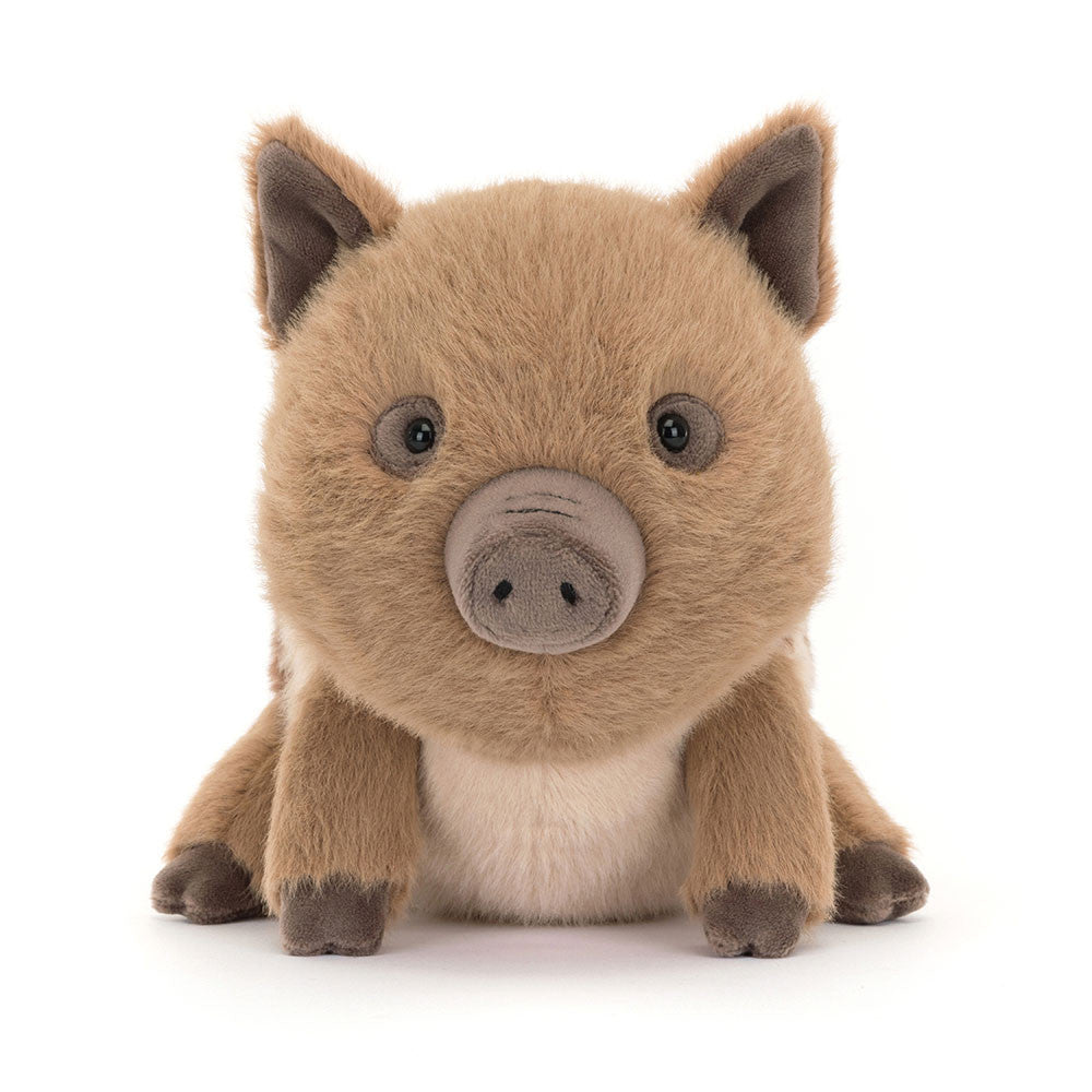 Swinley Boar 19cm